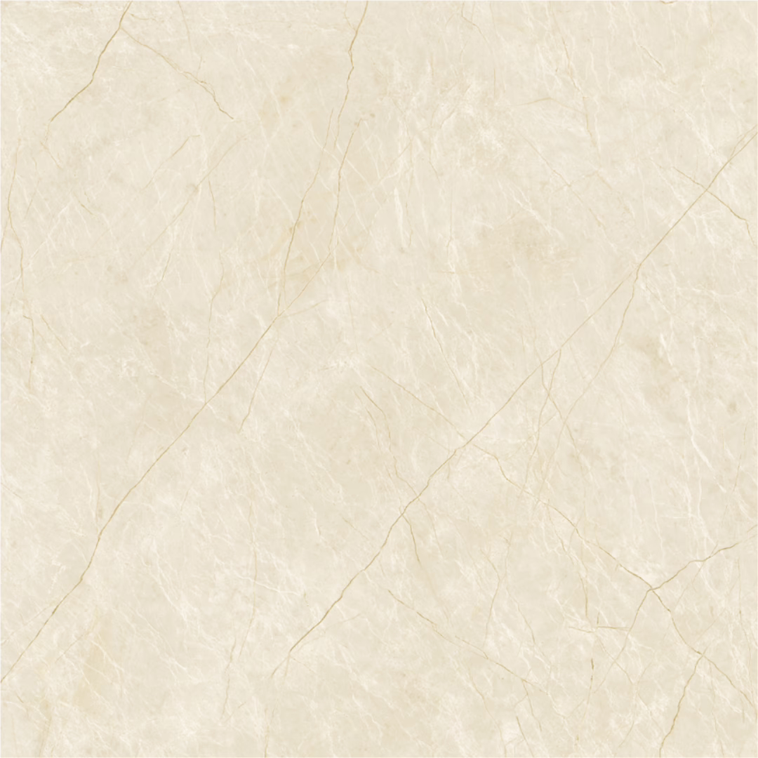 BALDOSA 57X57 PALMER 13306 HD